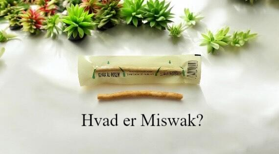 Miswak Miswak